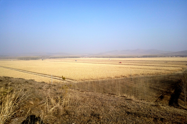 δ��������|Ѻ